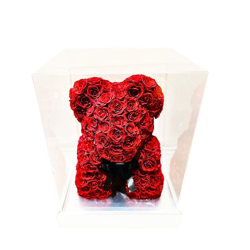 Lovely Red Bear forever rose