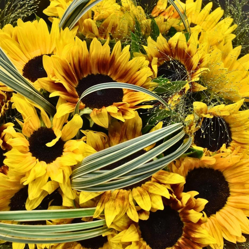 Elegant Bouquet of Sun Flowers