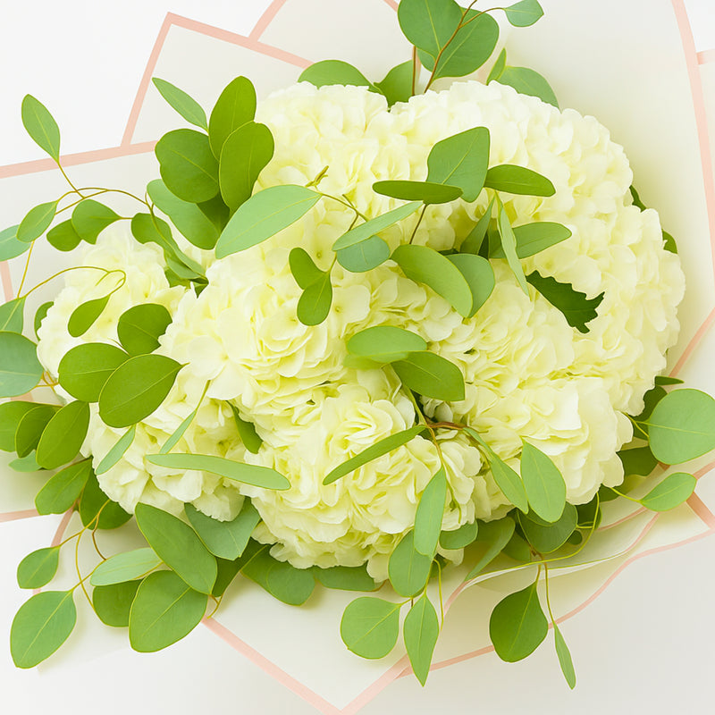 Luxury Bouquet of White Hydrangea