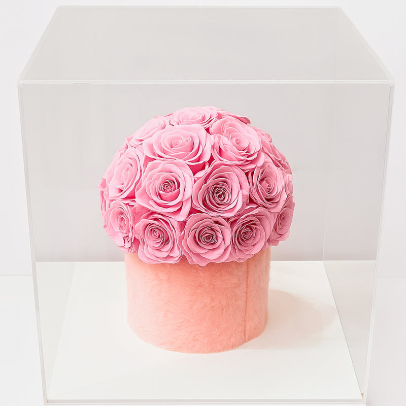 Big Pink Forever Rose