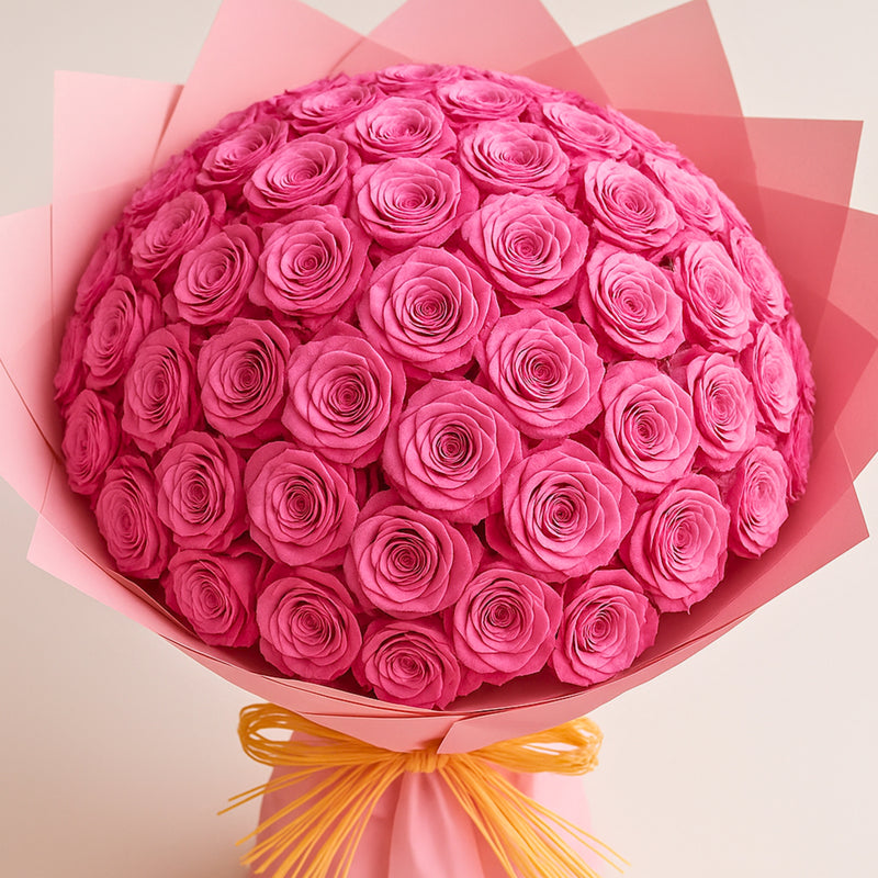 Dark Pink Roses Wrapped in Soft Pink Paper