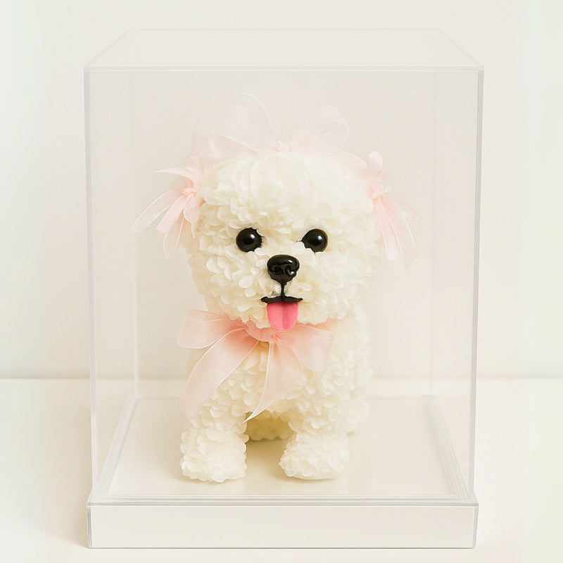 Forever Dog rose