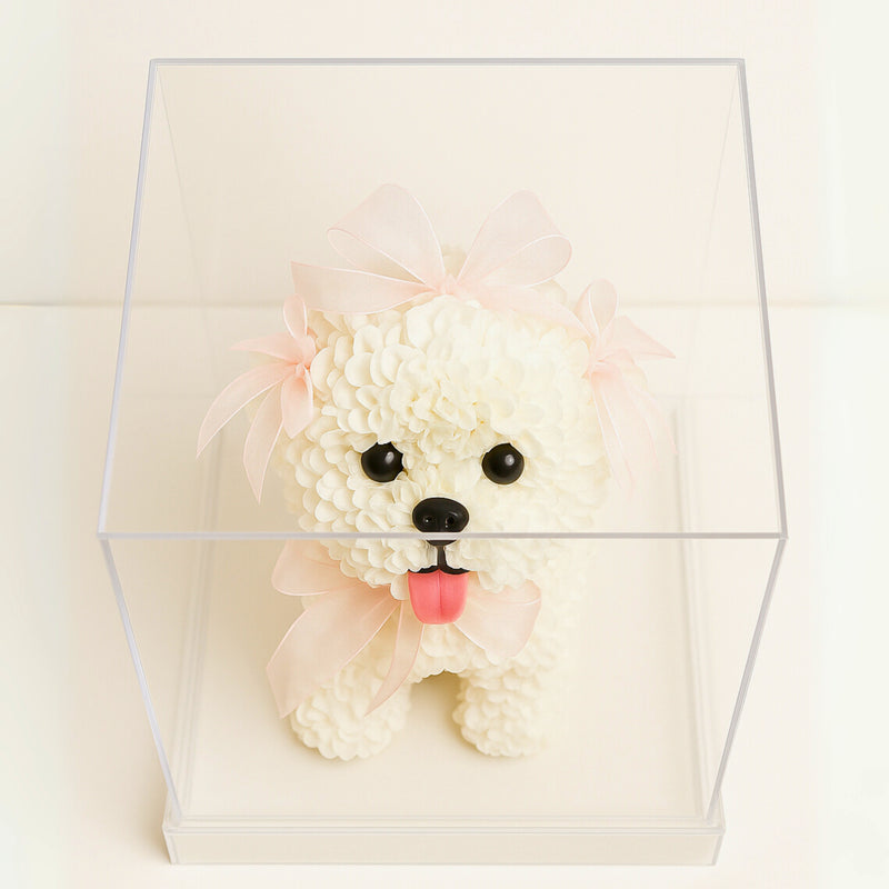 Forever Dog rose