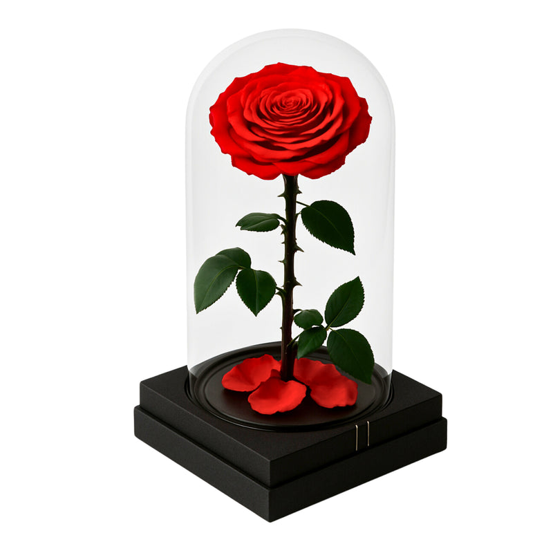 Forever Rose Red