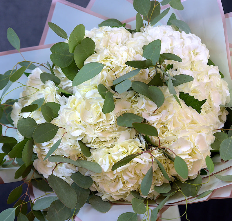 Bouquet of White Hydrangea