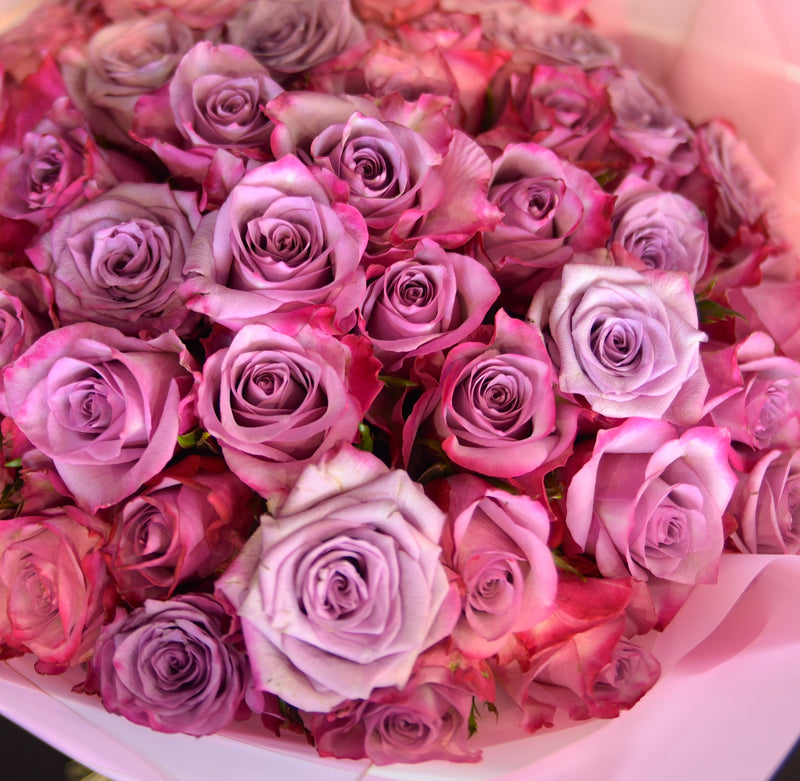 Bouquet of dark pink roses wrapped in pink