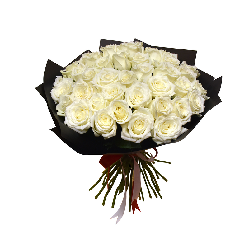 White love roses wrapped in black