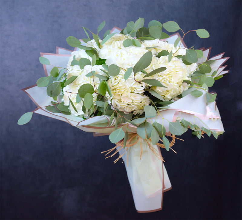 Bouquet of White Hydrangea